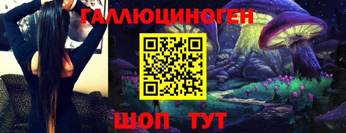 Галлюциногенные грибы Psilocybe  Псилоцибиновые грибы прущие грибы  Вход с VPN  Улан-Удэ 