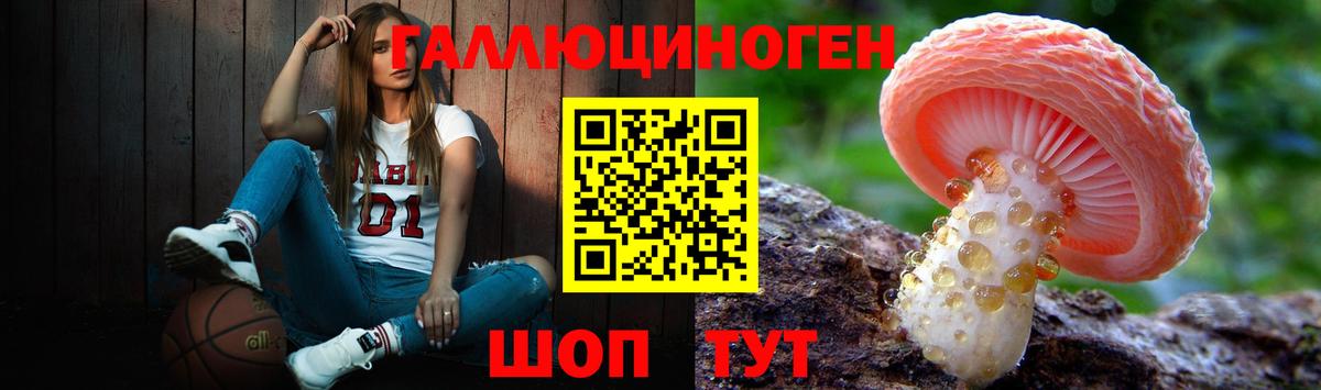 Галлюциногенные грибы GOLDEN TEACHER Улан-Удэ